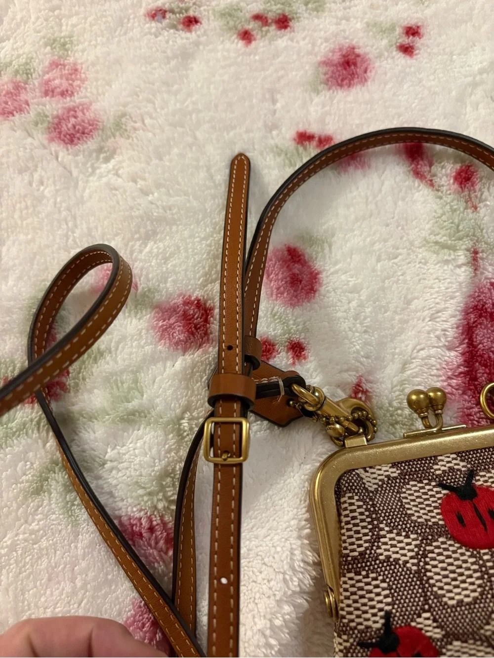 Coach Signature Ladybug Kisslock super rare HTF prestine condition